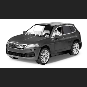 Skoda Karoq  100  Kl.